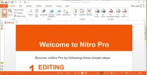 nitro pro enterprise crack
